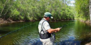 How to Catch Tarpon in South Carolina: A Beginner’s Guide