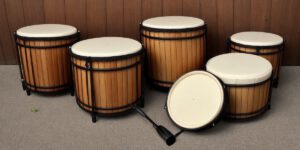 How to Choose Bongo Drums: A Guide for Beginners